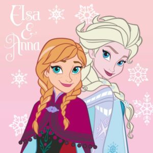 ΛΑΒΕΤΕΣ DISNEY DISNEY FROZEN 02 30Χ30 Digital Print-2120512400600299