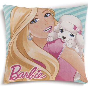 ΜΑΞΙΛΑΡΑΚΙΑ DISNEY BARBIE 08 40Χ40 Digital Print-2120632600200899