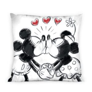 ΜΑΞΙΛΑΡΑΚΙΑ DISNEY MINNIE 11 40Χ40 Digital Print-2120622601101199