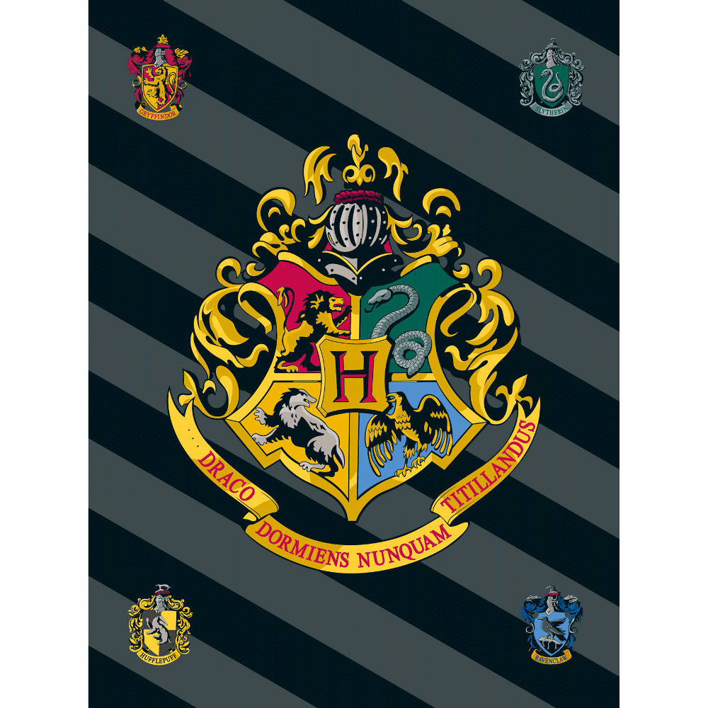 Κουβέρτα Fleece Harry Potter Γκρι ΚΑΝΑΠΕ 100 x 150 cm